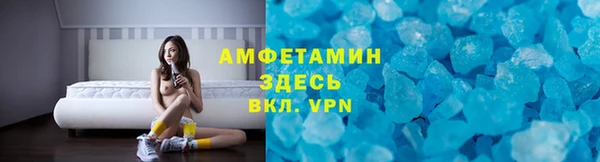 дурь Ельня