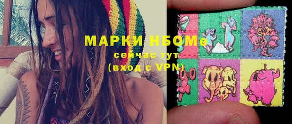 дурь Ельня