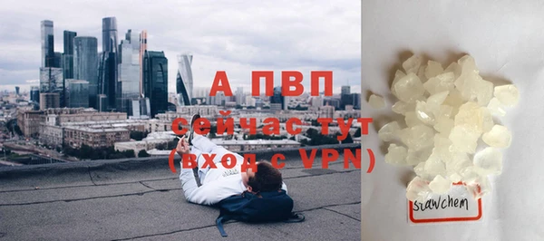соль ск Елизово
